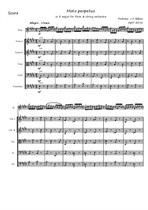 Moto perpetuo for flute and string orchestra – score